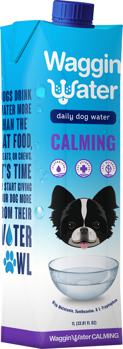 Can Dogs Drink Bottled Water?