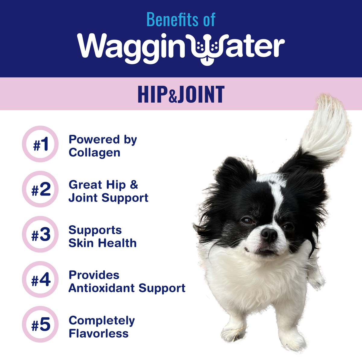 http://wagginwater.com/cdn/shop/products/AmazonHIP_JOINT-1_1200x1200.png?v=1695479077