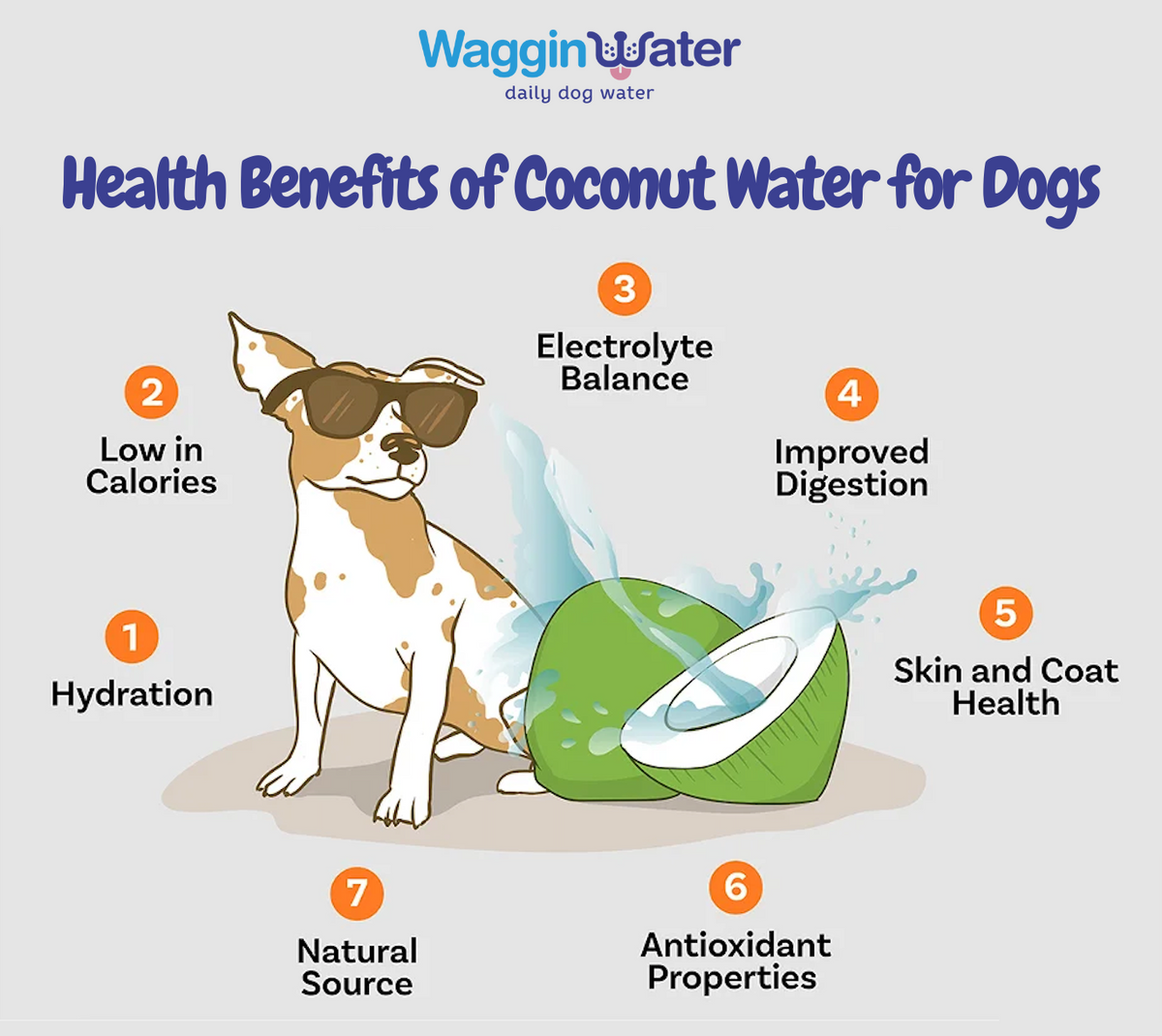Coconut Water for Dogs - 12oz Cans (6-pack)