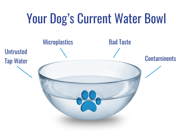 The sales water bowl