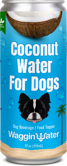 Coconut Water for Dogs - 12oz Cans (6-pack)