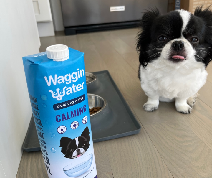 Waggin Water Daily Dog Water