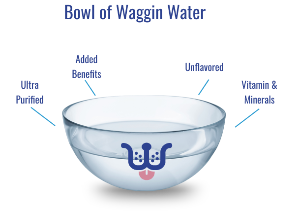 Water in a sales bowl